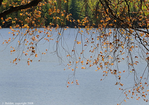 Lac Philippe