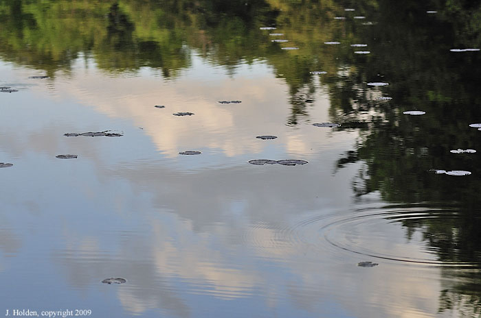 Lake Mulvihill