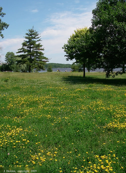 Western Parkway Bike Path