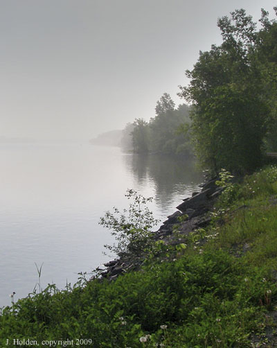 Ottawa River Shoreline