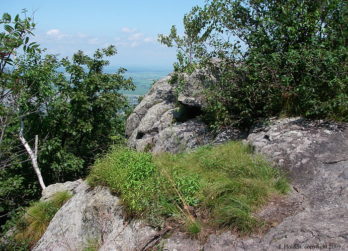 Rocky, Mont St. Hilaire