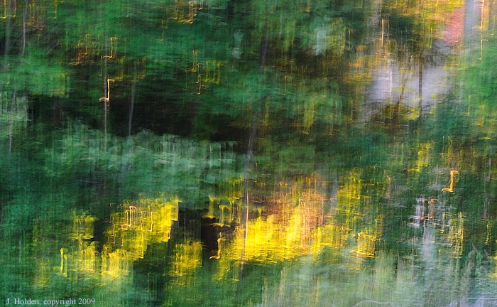 Beaver Dam Abstract