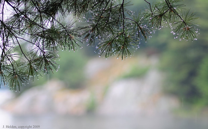 Killarney Rain