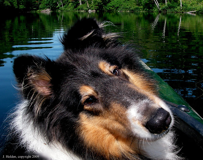 MacKenzie in the Kayak, Lac Champagneur
