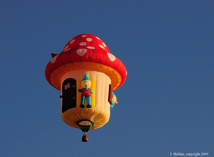 Hot Air Balloon