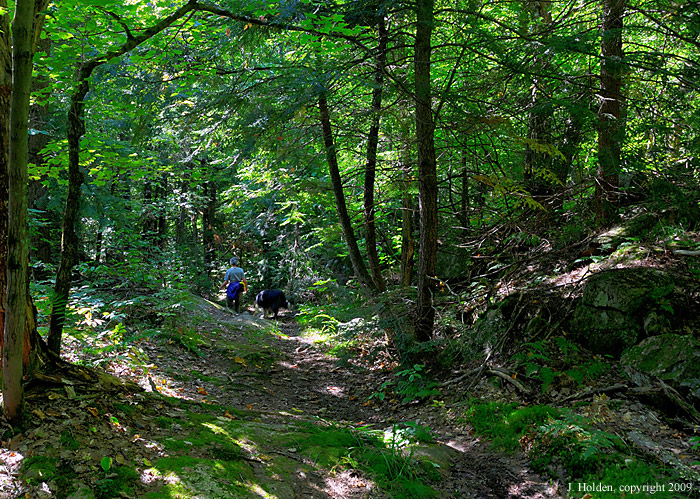 Unmarked Trail