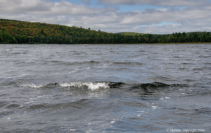 Farm Lake