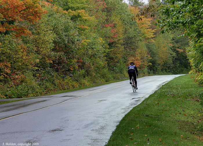 Hardy Cyclist