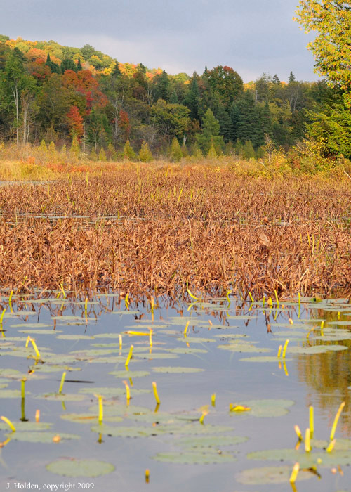 Late afternoon colours on Meech Lake