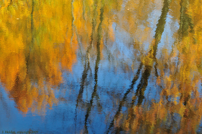 Reflections