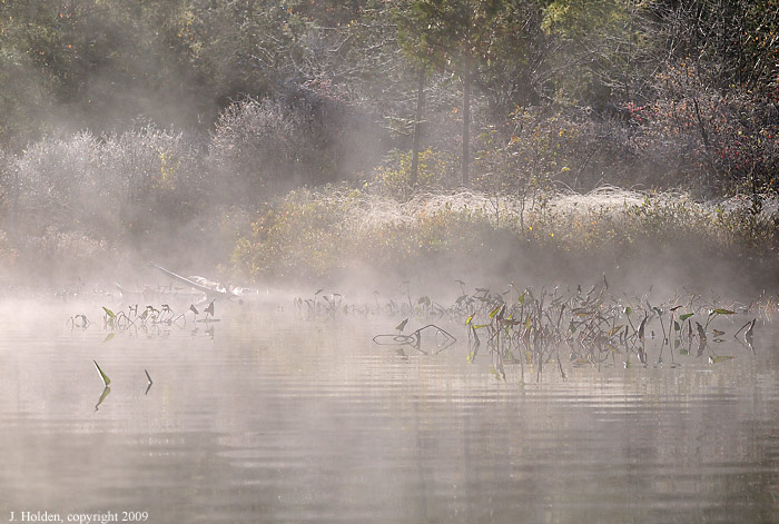 Frost, LacChampagneur