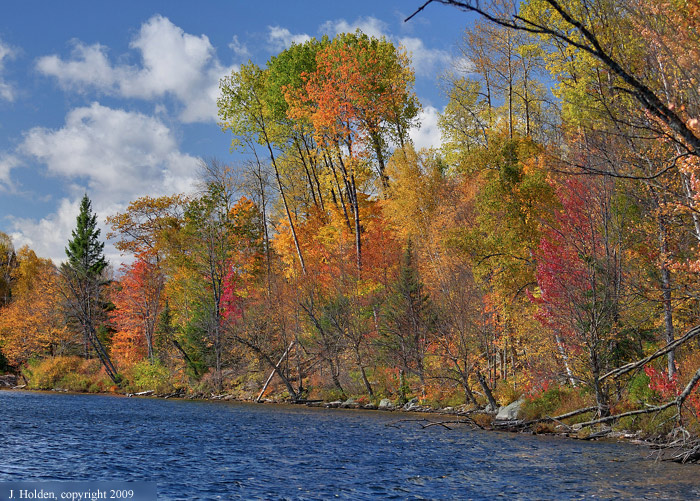 Dazzling fall colour, Lac Champagneur