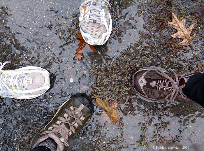 Wet Shoes