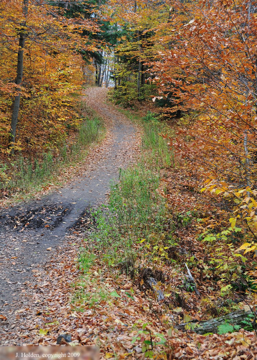 Mystery Trail