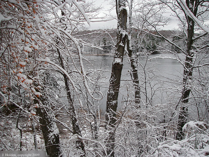 Fortune Lake