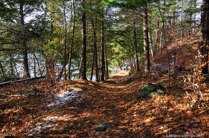 Beautiful Trail # 36