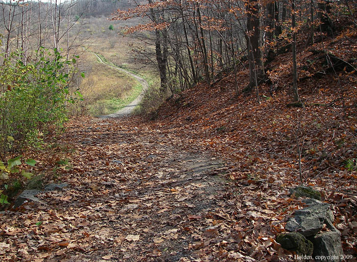 Trail #25