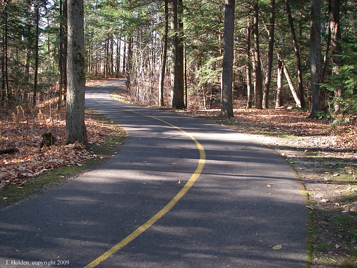 Orleans River Path2
