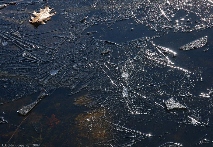 Thin Ice