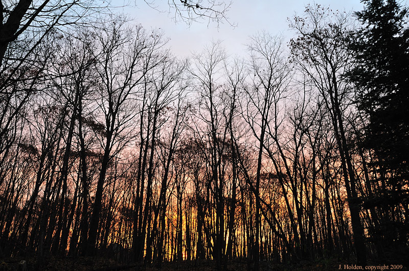 November Dawn