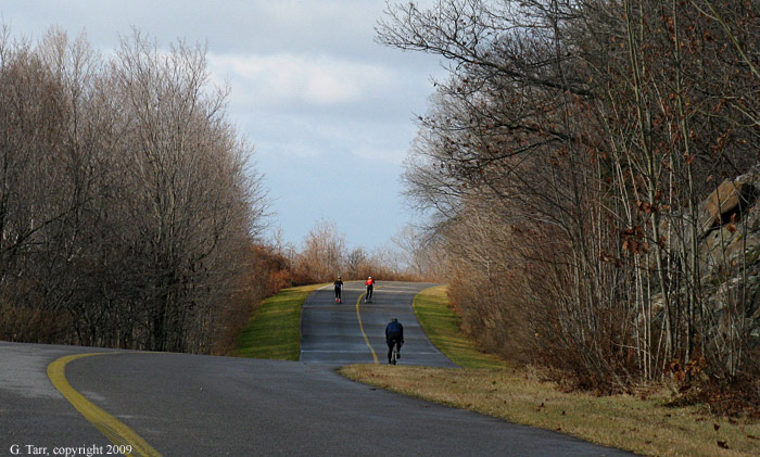 Roller skiers and cyclist near the Lookout
