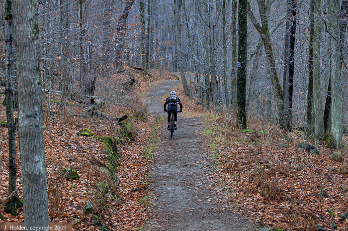 Mountain Biker descending the last hill on trail #40