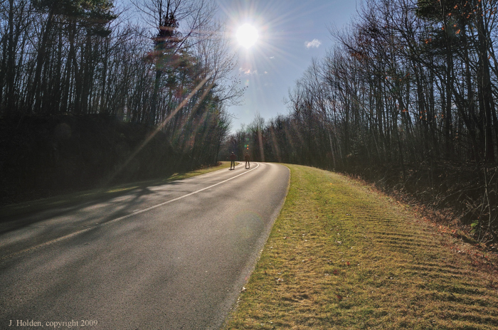 Gatineau Parkway roller skiers