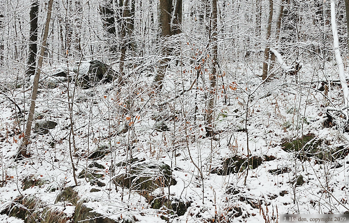 A cm or two of snow in Chelsea