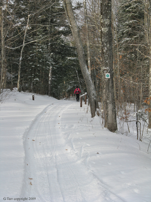 Ridge Road Snowmobile Track