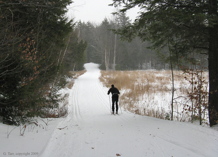 Ridge Road heading toward Penguin