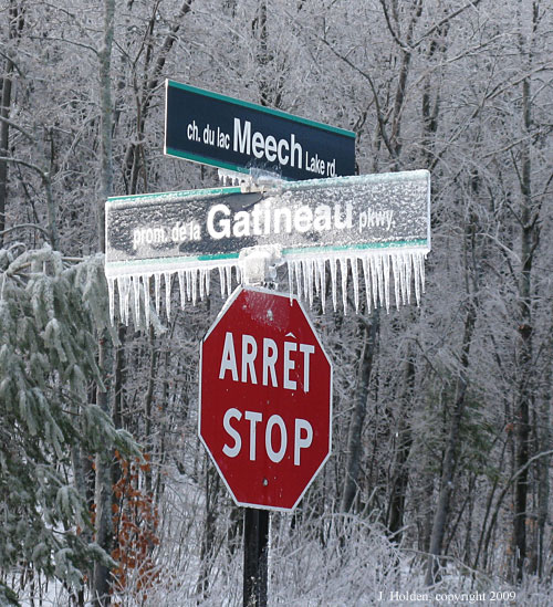 Icy Sign Posts