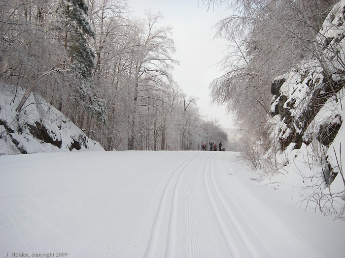 Chelsea Nordique Racing Rabbits