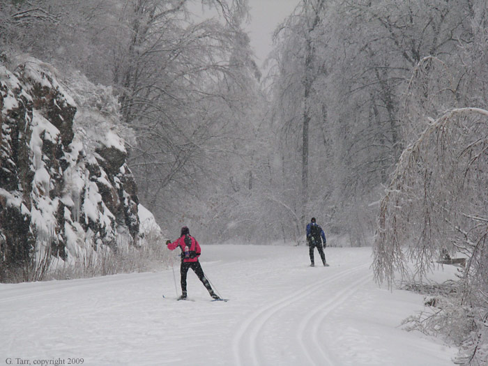 Snowy afternoon ski near Black Lake