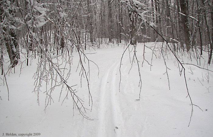 Trail 1B.