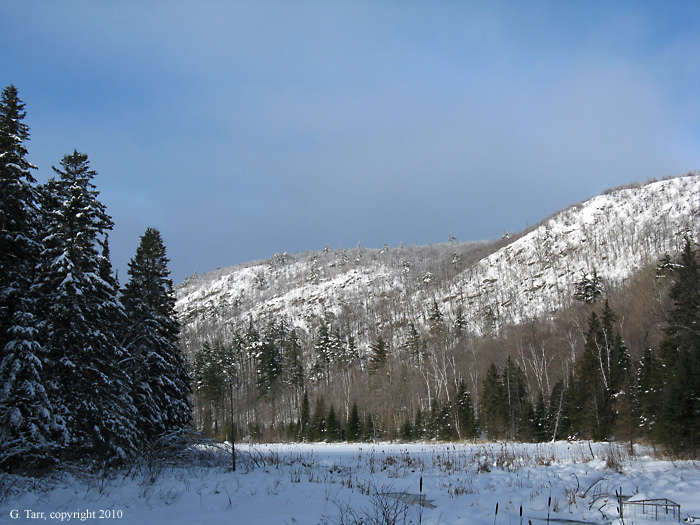 Somewhere in Gatineau Park