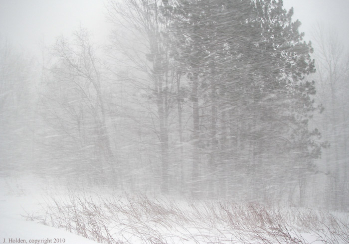 Snow Squall