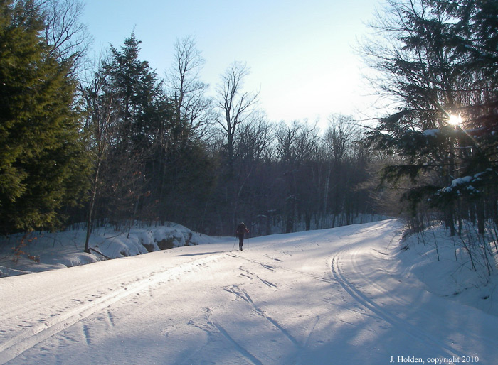 Lone Coureur de Bois at Dawn, near Black Lake