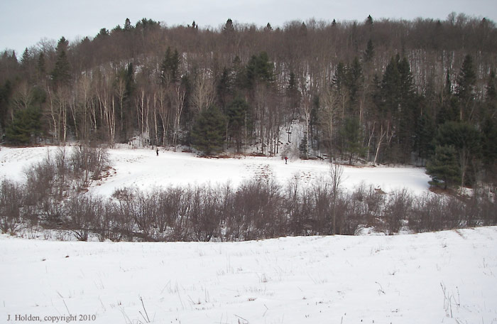 Canadian Ski Marathon, photo 04