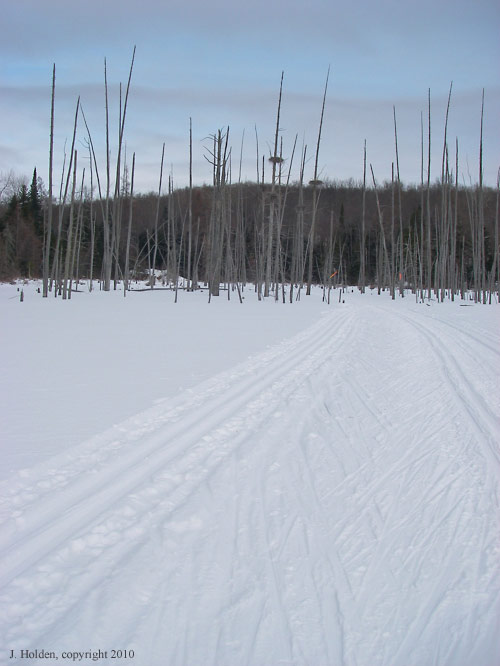 Canadian Ski Marathon, photo 10
