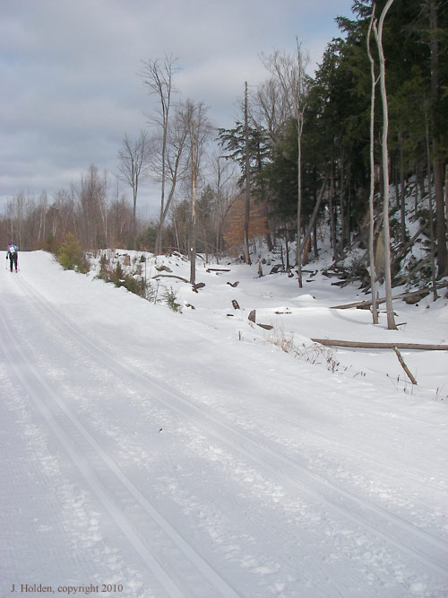 Canadian Ski Marathon, photo 14