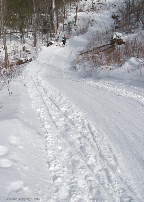 Canadian Ski Marathon, photo 15