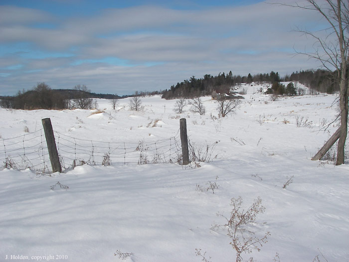 Farm and Blue Sky, Pine Road 