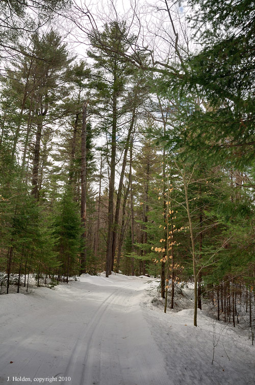 Trail 52