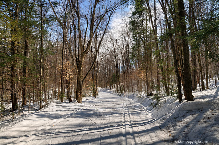 Pine Road