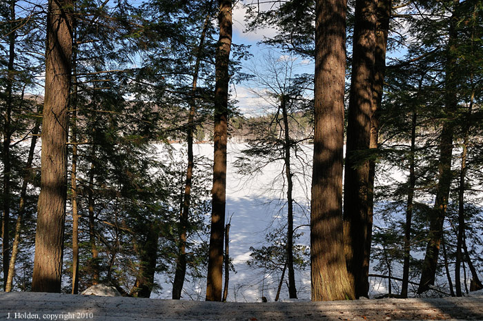 Trail 50 and shoreline of Lac Philippe