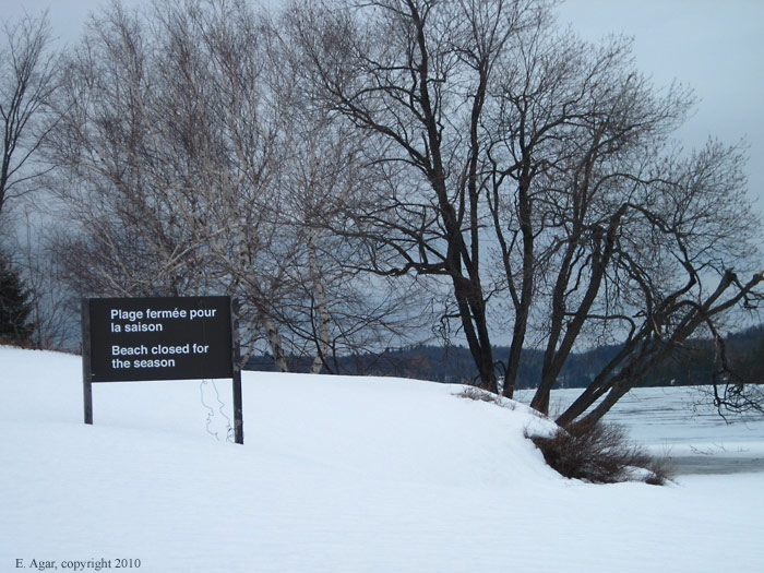 Beach Closed
