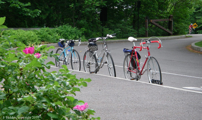 Scenic Rest at Pink Lake